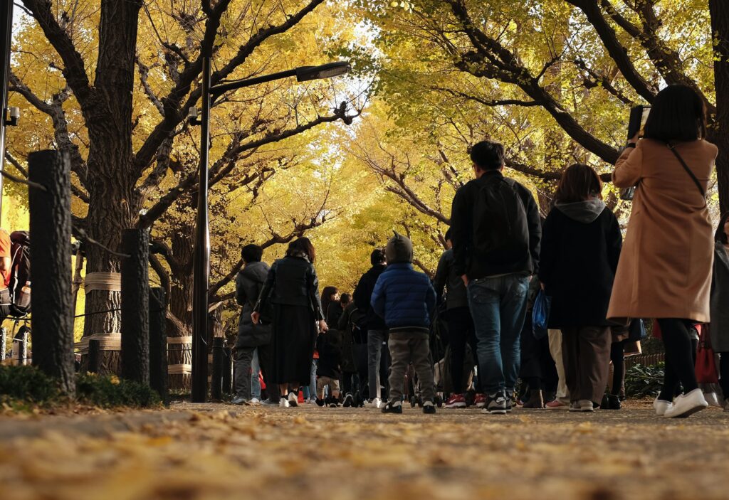 Fall Festival